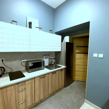 Przy Fontanna/ Plac Litewski/ Stare Miasto/ 2 Pok. Appartamento Lublino